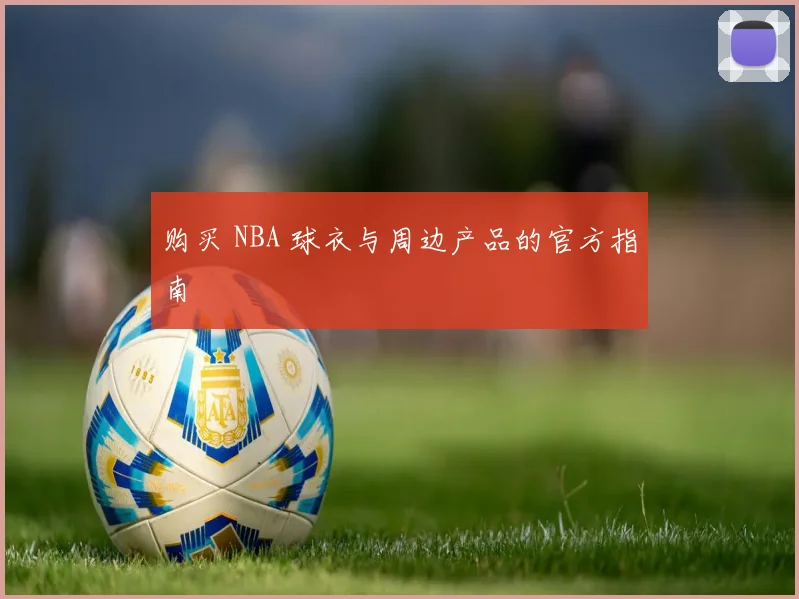 购买 NBA 球衣与周边产品的官方指南